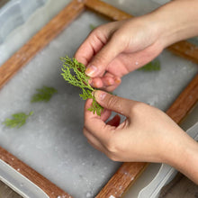 Load image into Gallery viewer, Hand-made Paper Workshop